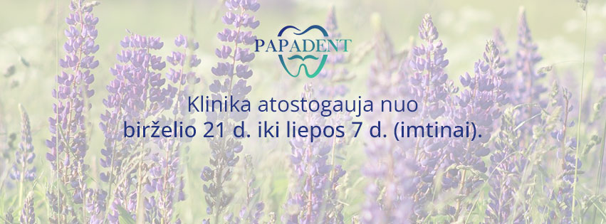 „PAPADENT“ vasaros atostogos